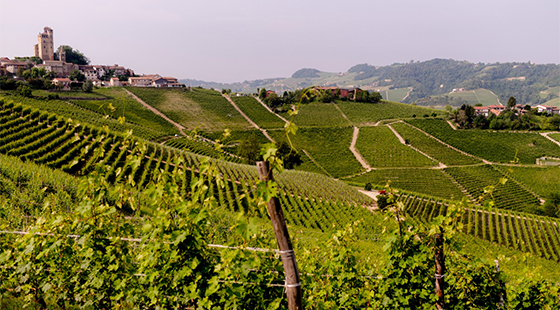 Cena con degustazione: Vietti