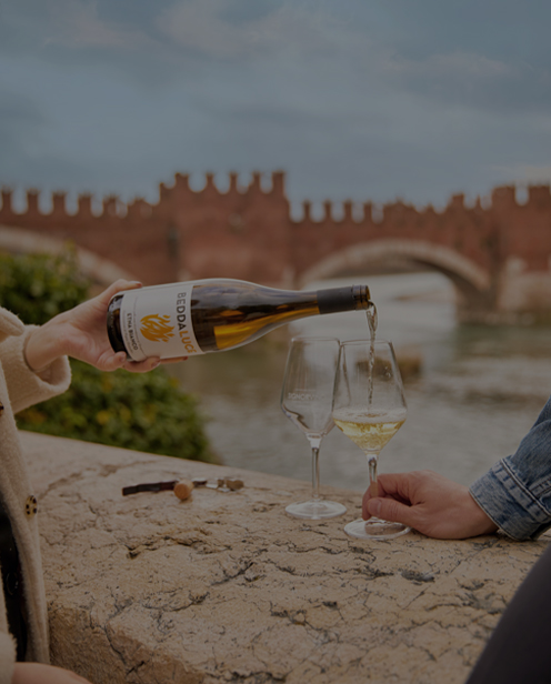 aromatic_and_fresh_wines