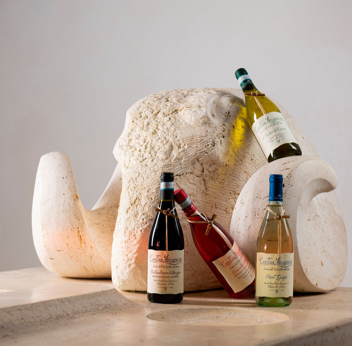 Degustazione vini Zaccagnini Cene con Degustazione a Bologna Signorvino