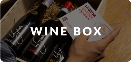Signorvino