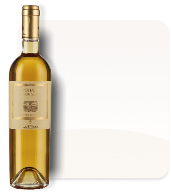 Signorvino
