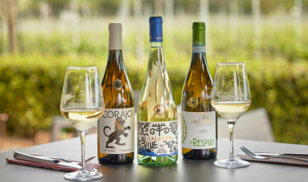 white_wines_selection