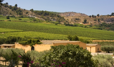 wine-tours