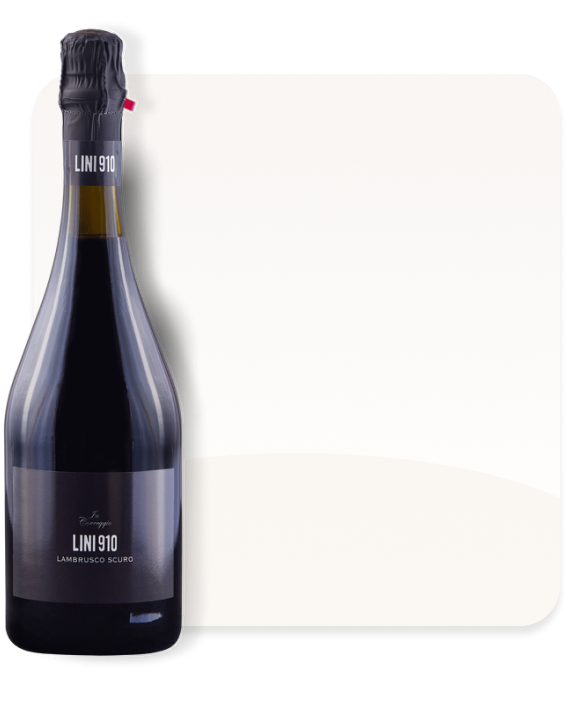 Signorvino
