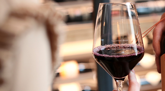 Lezioni di vino 1: La viticoltura