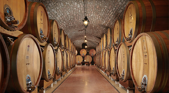 Dinner with tasting: Bertani