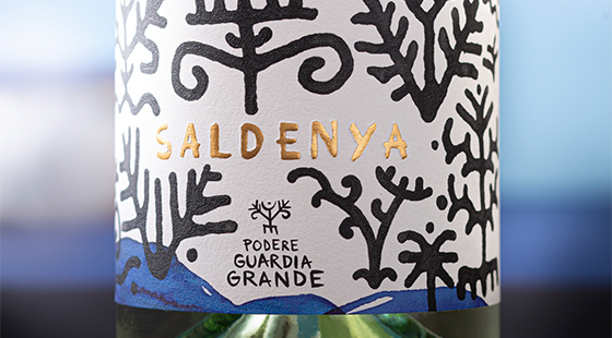 Dinner with tasting: Podere Guardia Grande