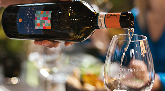 Dinner with tasting: Ottella