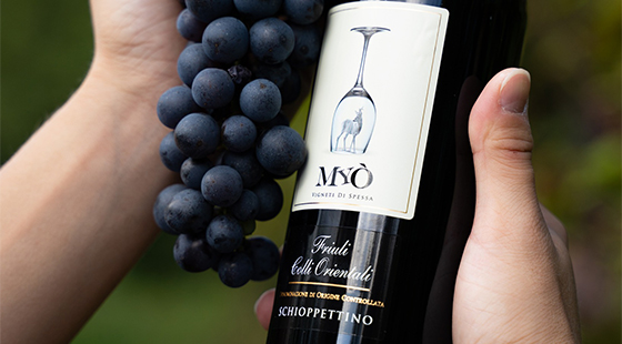 Dinner with tasting: Zorzettig