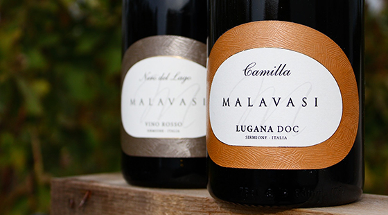 Dinner with tasting: Malavasi
