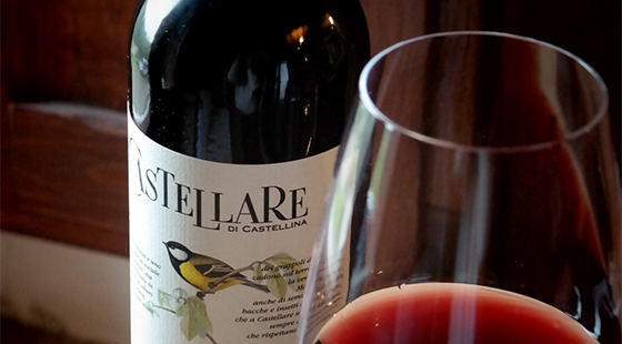 Dinner with tasting: Castellare