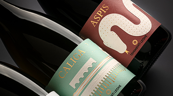 Dinner with tasting: Tenimenti Leone