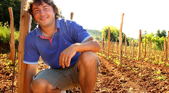 Cena con degustazione: Skerlj