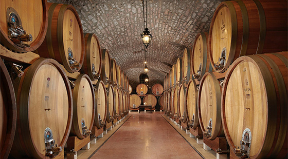 Cena con degustazione: Bertani