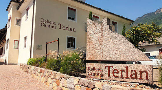 Cena con degustazione: Terlano