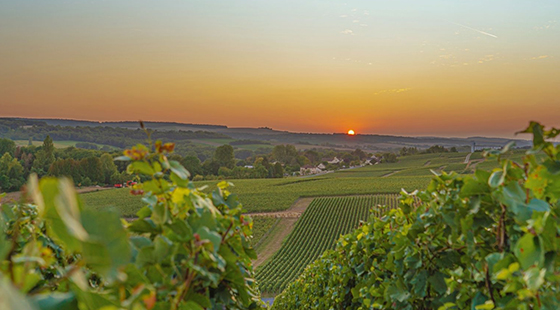 Cena con degustazione: Beaufort