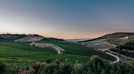 Cena con degustazione: Planeta