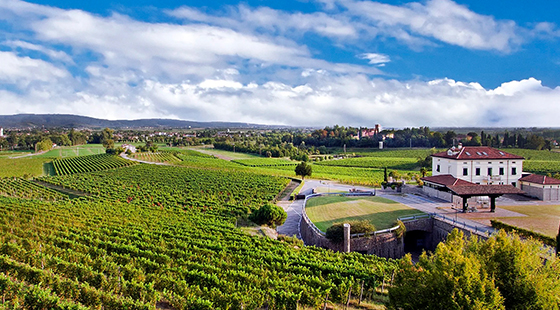 Cena con degustazione: Schiopetto