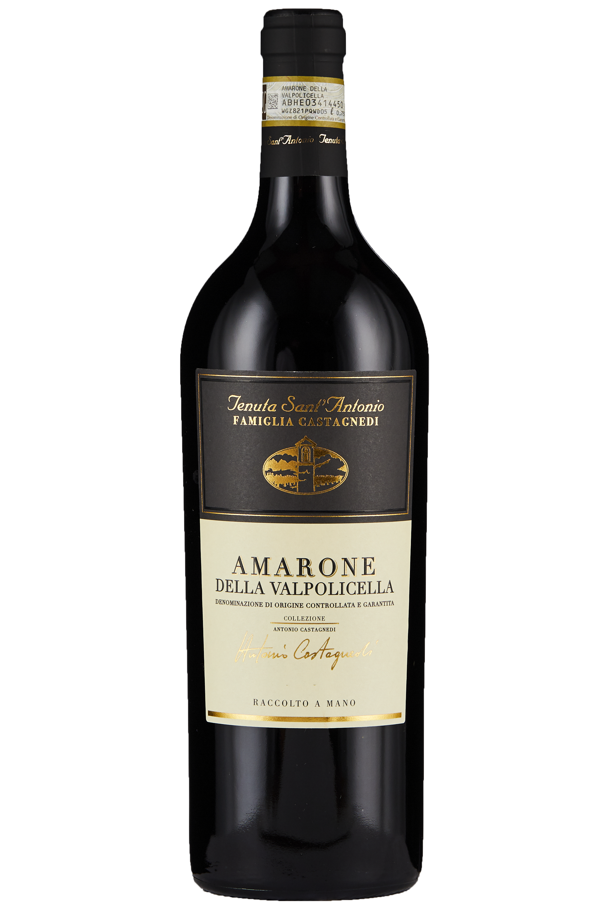 ダ*ン様 Amarone della Valpolicella Classico Amarone Della Valpolicella Selezione Castagnedi